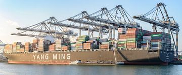 Cargo container ship at a container terminal in Rotterdam port by Sjoerd van der Wal