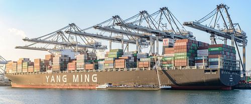 Navire à cargaison dans un terminal à conteneurs dans le port de Rotterdam