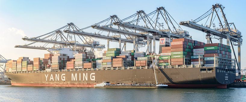 Frachtcontainerschiff an einem Containerterminal in Rotterdam Hafen von Sjoerd van der Wal Fotografie