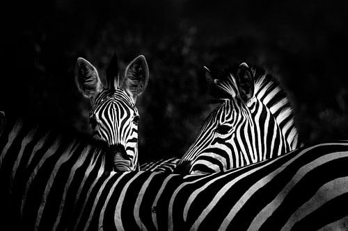 Sehen Sie mich - sehe ich Sie