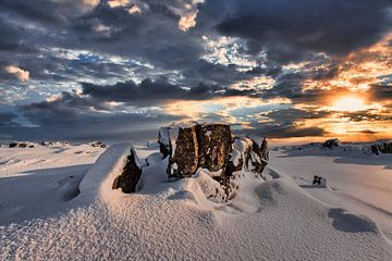 Sneeuw landschap van peterheinspictures