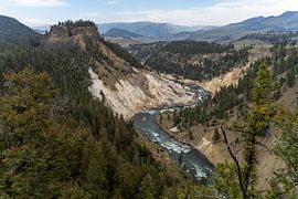 Grand Canyon of the Yellowstone, Yellowstone National Park, USA by Jeroen van Deel