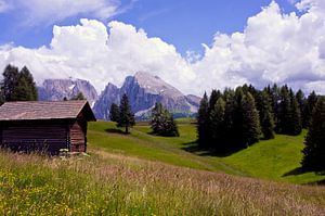 Südtirol Seiser Alm Blick