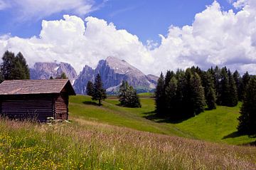 Zuid-Tirol van Martina Weidner