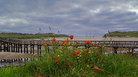 Brücke zum Strand in Lossiemouth in Schottland