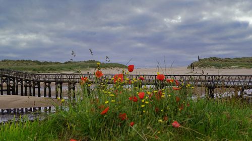 Brug naar het strand in Lossiemouth in Schotland