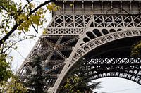 Paris - Tour Eiffel à travers les arbres - Couleur