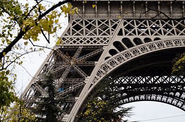 Paris - Tour Eiffel à travers les arbres - Couleur sur Eline Willekens