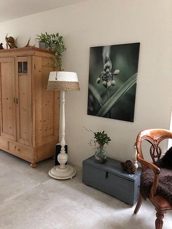 Zachte kleuren olijfgroen