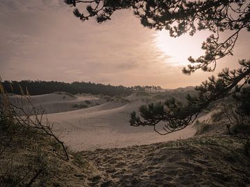 Doorkijkje naar zand van Martijn Tilroe