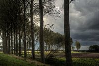 Krabbedijk
