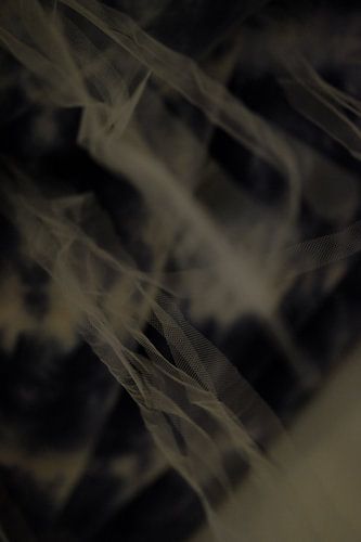 Gros plan Photo de détail Tulle