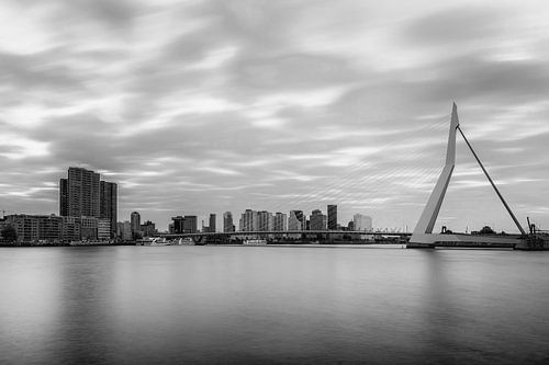 Erasmus bridge in black and white