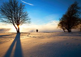 Winterabend von Jürgen Wiesler