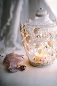 The Fragile Lantern