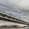 Erasmusbrug van Mario de Lijser