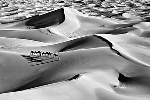 Marokko, Sahara-Wüste. Kamelkarawane