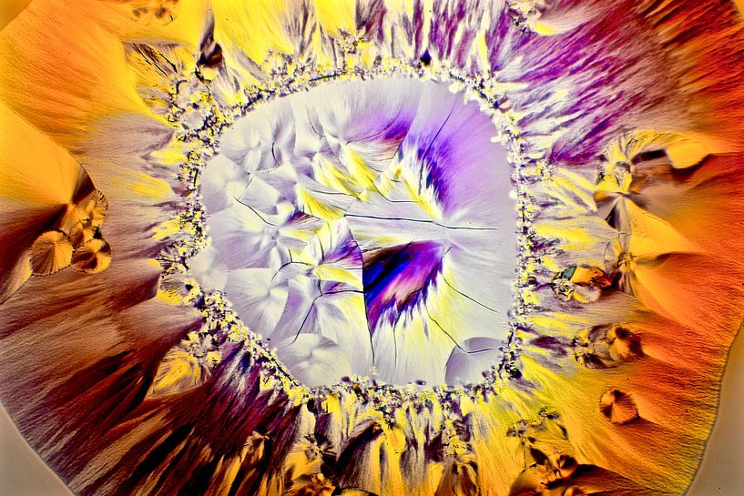 zonnebloem (Microfoto paracetamol) van Frans Beer