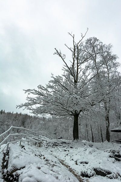 Paysages d'hiver par Johnny Flash