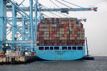 Containerschiff auf der Maasvlakte 2