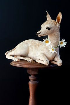 Bambi by Diane Cruysberghs