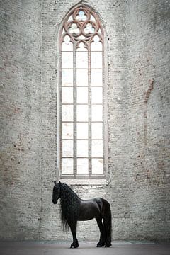 Fries paard in kerk van Shirley van Lieshout