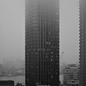 The Red Apple in de mist von Sebastiaan van Hattum