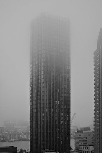 The Red Apple in de mist