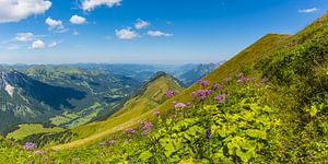 Panorama ins Stillachtal