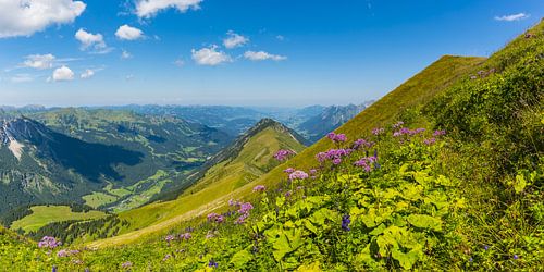 Panorama in de Stillachtalvallei