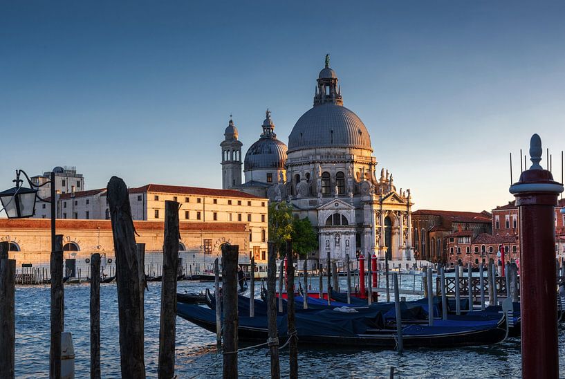 Gondolas on the Grand Canal by Alex Neumayer