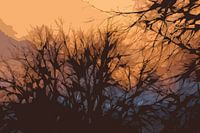 Autumn Falls