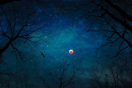 Maansverduistering gezien door bomen