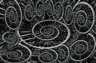 spirales de roue de vélo en noir et blanc par Klaartje Majoor Aperçu