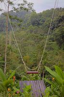 Rocking in Bali