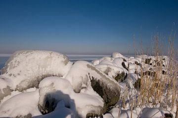A shoreline in winter
