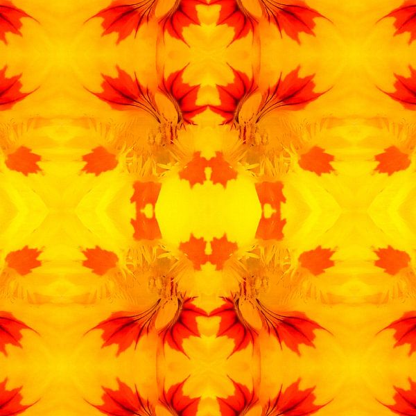 bloem 44 by Margriet Snaterse