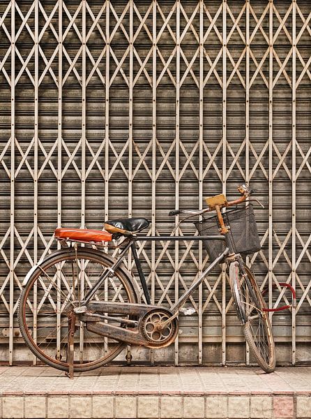 Rusty Vintage Fahrrad gegen Metallzaun von Tony Vingerhoets