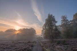 Sunrise on the Brunssummerheide by John van de Gazelle fotografie