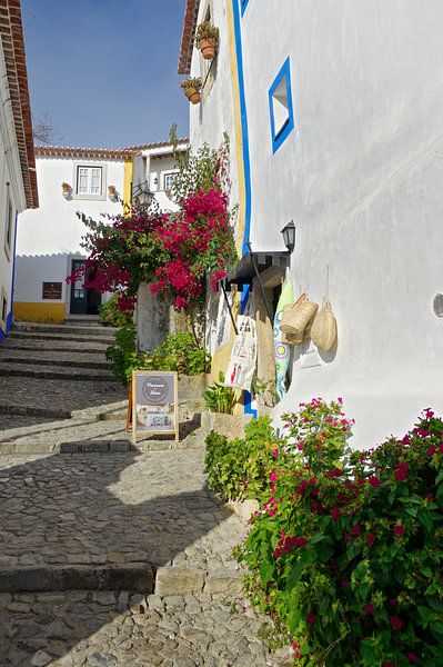 Une ruelle pittoresque à Óbidos par Berthold Werner