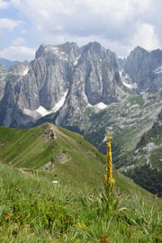 The 3 Peaks Walk 2 by Erik Buitenhuis