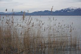 Winterlicher Chiemsee von Josef Rast Fotografie