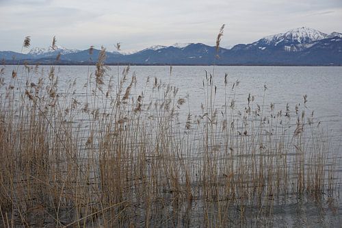 Winter Chiemsee