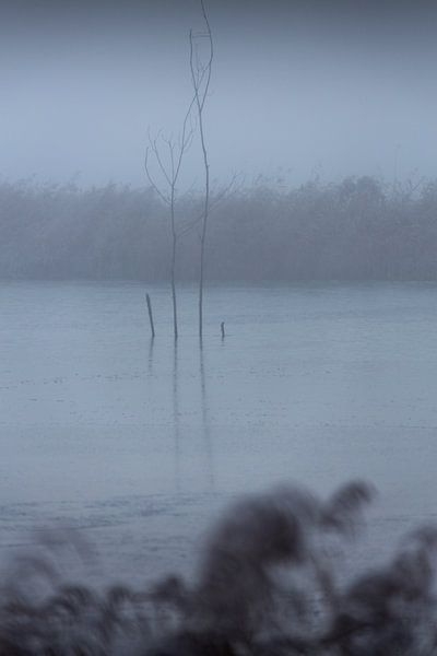 Friesland in the fog on the Tjonger by Rene  den Engelsman