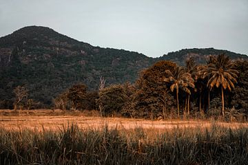 Sri Lanka van Fotoverliebt - Julia Schiffers