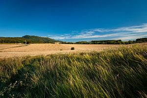Typische französische Landschaft im Sommer mit Getreidefeldern