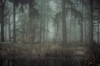 Bomen en mist II van Onbegonnen werk thumbnail
