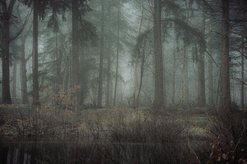 Bomen en mist II van Onbegonnen werk