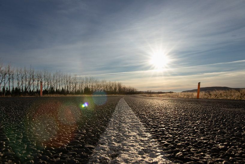 Sur la route par Carlijn Buil