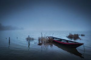 Ruderboot im Nebel
